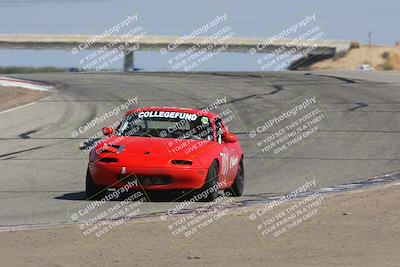 media/Oct-01-2023-24 Hours of Lemons (Sun) [[82277b781d]]/1045am (Outside Grapevine)/